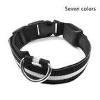 NightSafe Glow Collar