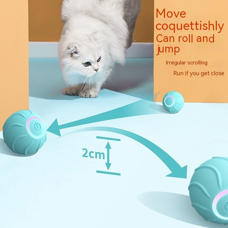 WildRoll Cat Toy