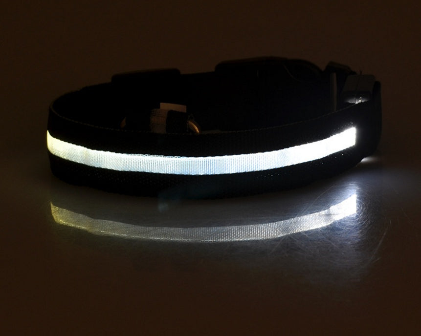 NightSafe Glow Collar