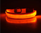 NightSafe Glow Collar