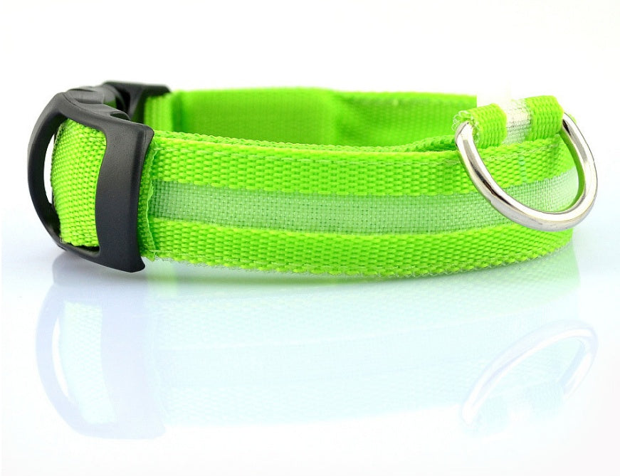 NightSafe Glow Collar