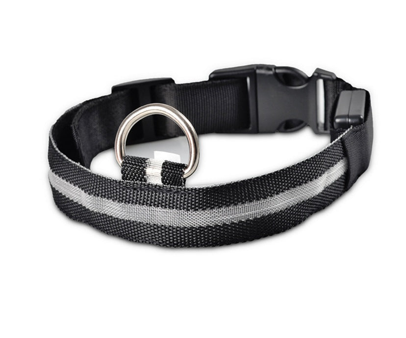 NightSafe Glow Collar