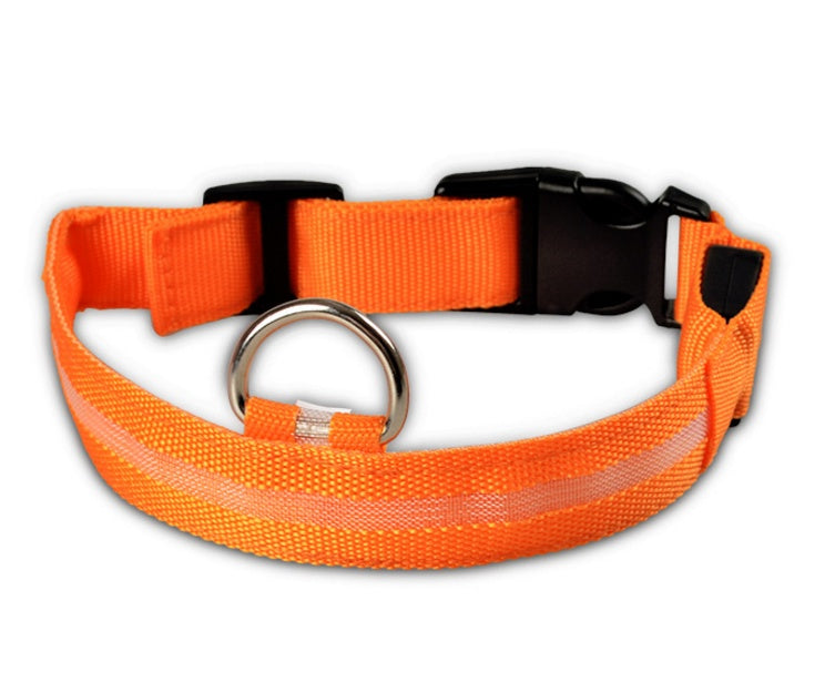 NightSafe Glow Collar