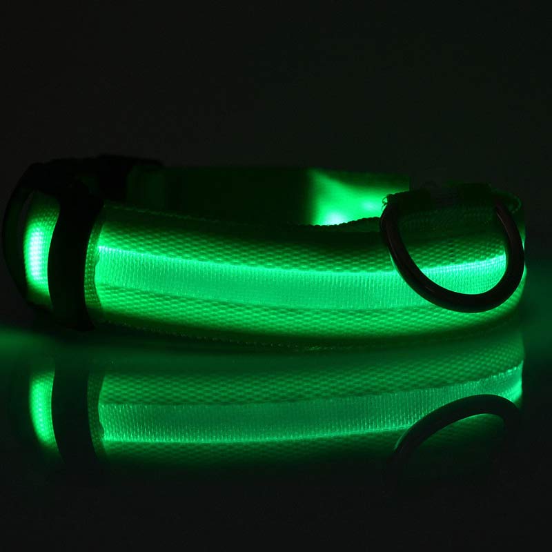 NightSafe Glow Collar