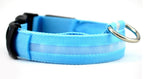 NightSafe Glow Collar