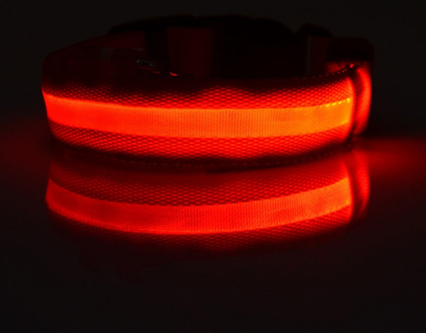 NightSafe Glow Collar
