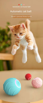WildRoll Cat Toy