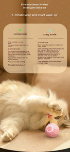 WildRoll Cat Toy