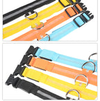 NightSafe Glow Collar