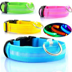 NightSafe Glow Collar