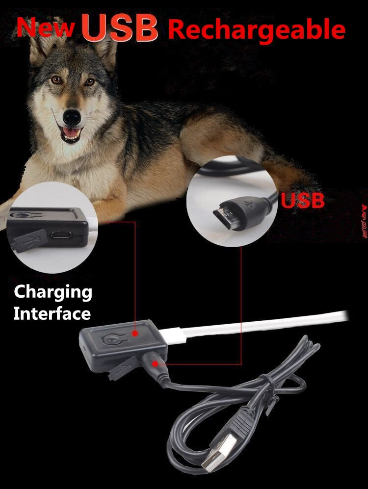 NightSafe Glow Collar