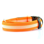 NightSafe Glow Collar