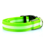 NightSafe Glow Collar
