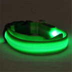 NightSafe Glow Collar