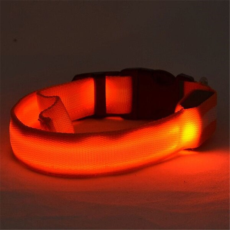NightSafe Glow Collar