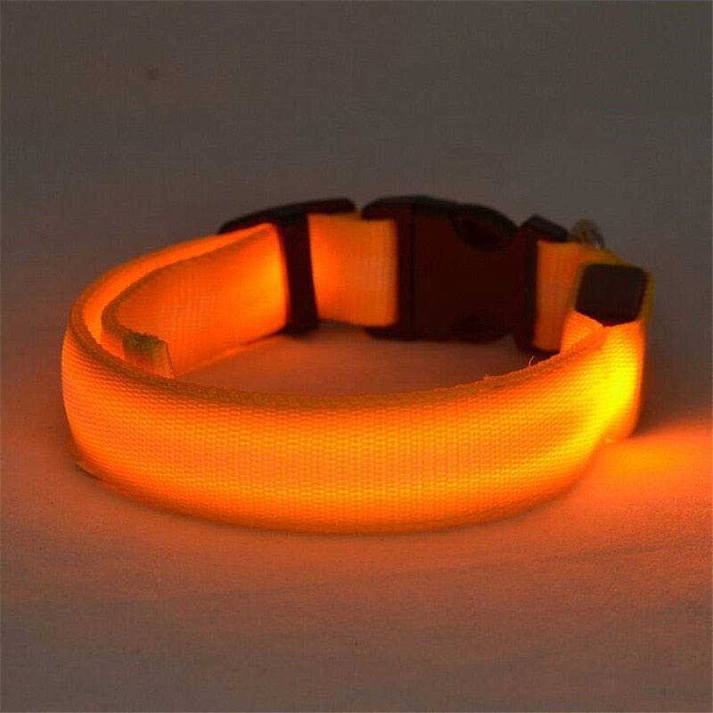 NightSafe Glow Collar