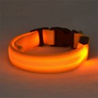 NightSafe Glow Collar