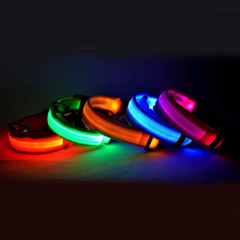 NightSafe Glow Collar