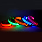 NightSafe Glow Collar