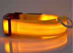 NightSafe Glow Collar