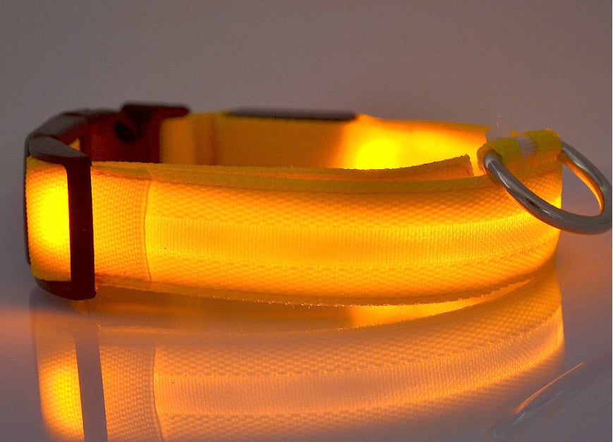 NightSafe Glow Collar