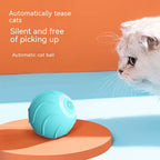 WildRoll Cat Toy