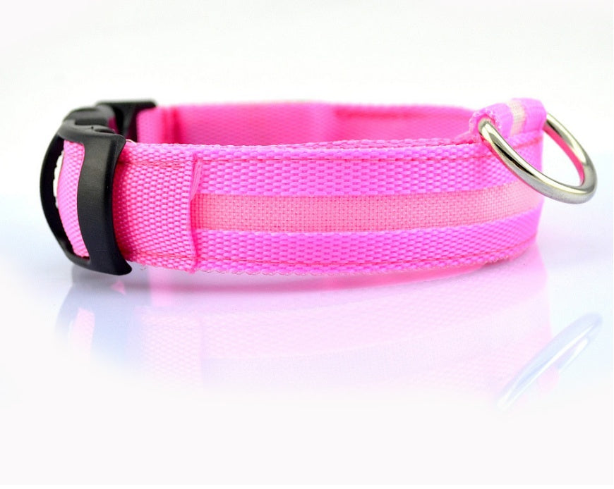 NightSafe Glow Collar