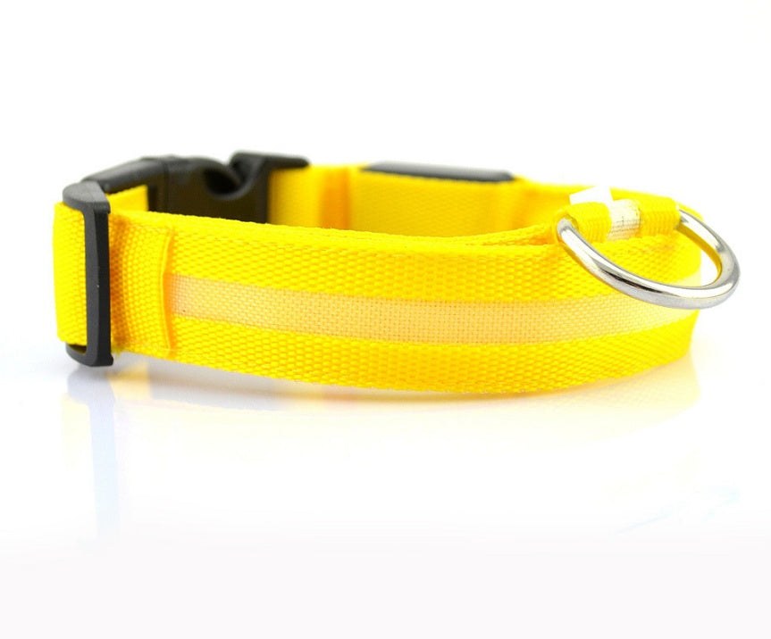 NightSafe Glow Collar