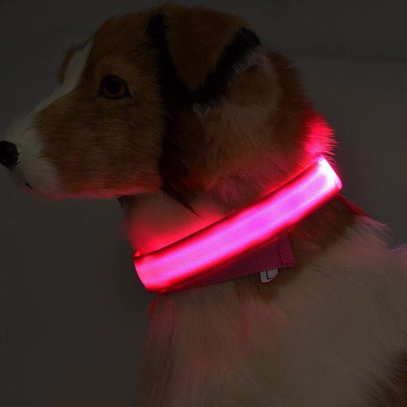 NightSafe Glow Collar
