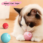 WildRoll Cat Toy