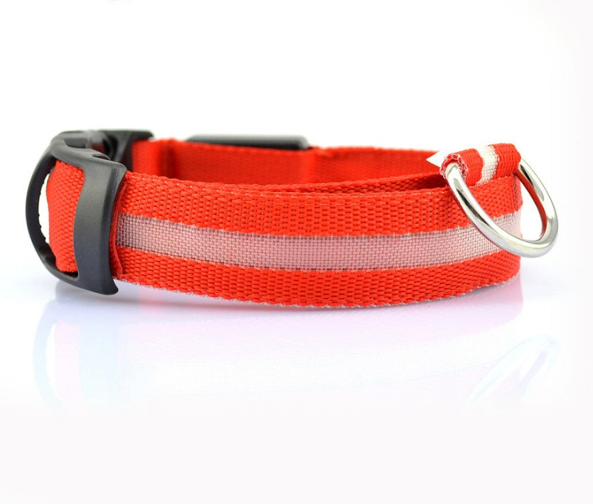 NightSafe Glow Collar