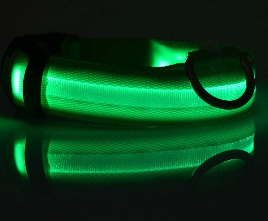 NightSafe Glow Collar