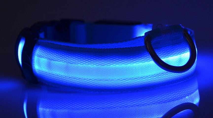 NightSafe Glow Collar