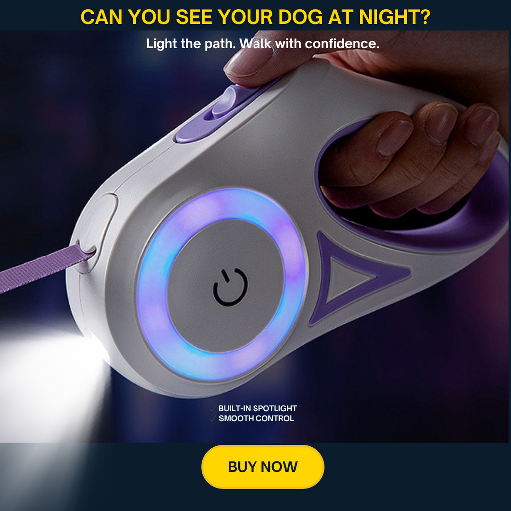 NightCare Dog Leash