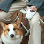 NightCare Dog Leash