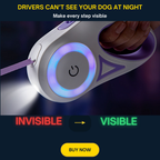 NightCare Dog Leash