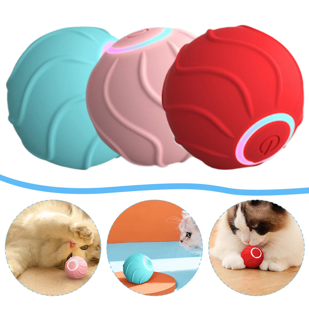 WildRoll Cat Toy