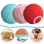 WildRoll Cat Toy