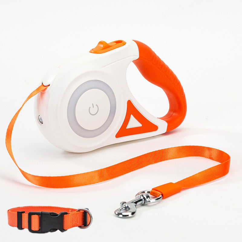 NightCare Dog Leash